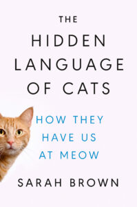 Pink book cover, with an orange tabby cat, for Sarah Brown's The Hidden Language of Cats