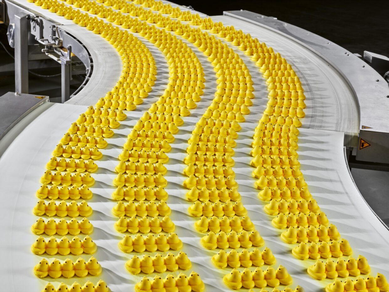 PEEPS Marshmallow Chicks cooling on a conveyor belt before packaging. Just Born Quality Confections, Bethlehem, Pennsylvania