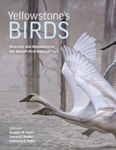 The cover of Yellowstone Birds