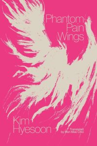 phantom pain wings