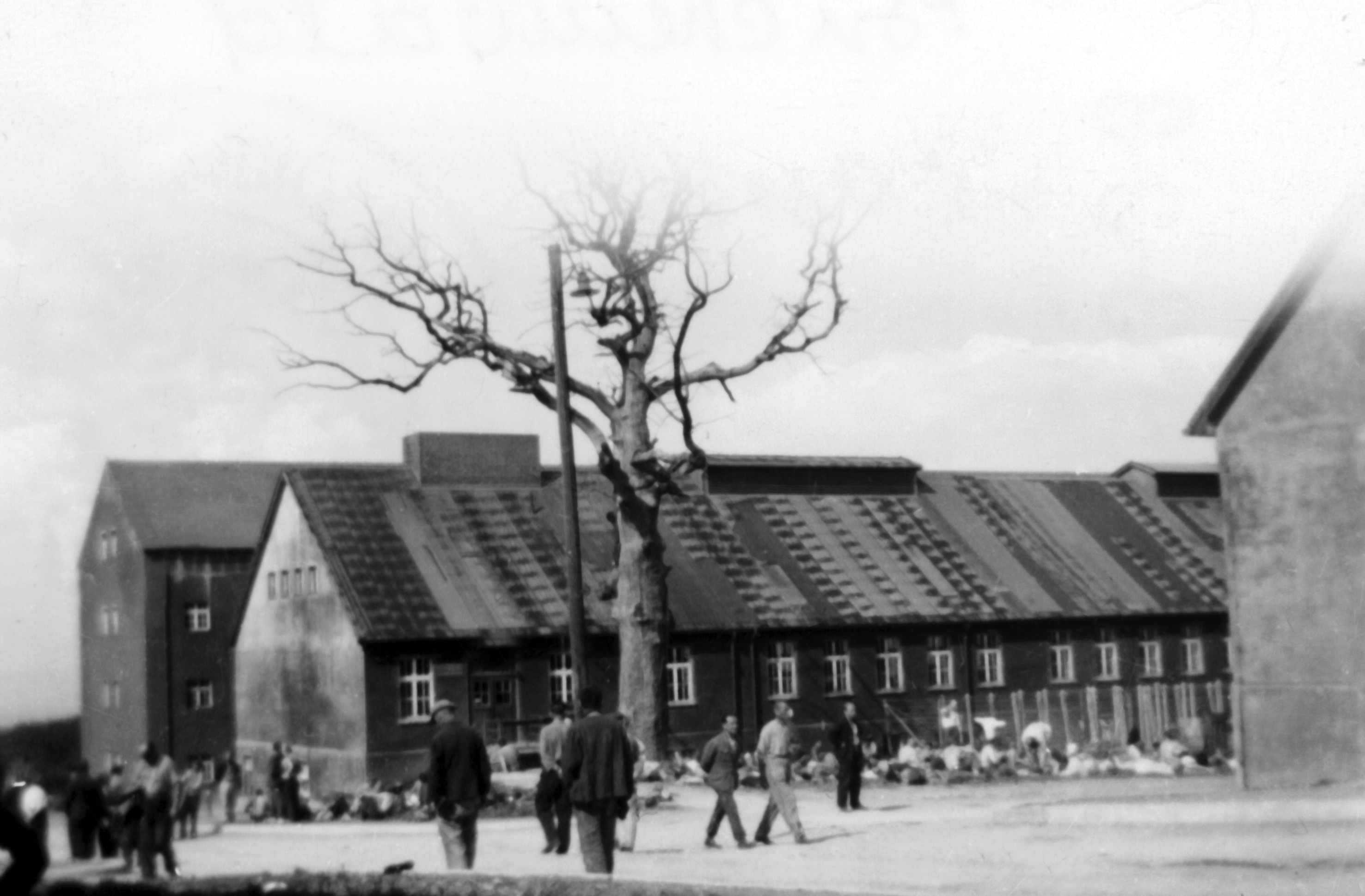 On Art, Music and the Humanist Spirit in the Face of Nazi Atrocities