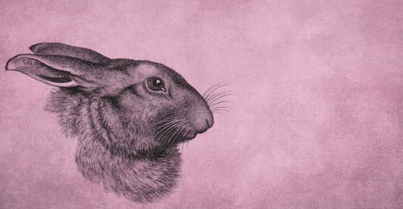 Year of the Rabbit: Why We're Seeing So Many Bunnies on Books ‹ Literary Hub
