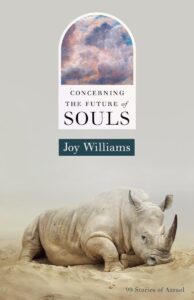 Joy Williams, Concerning the Future of Souls 