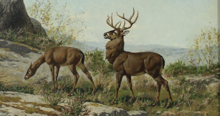 “DOE PROBLEMS,” a Poem by Kevin Latimer