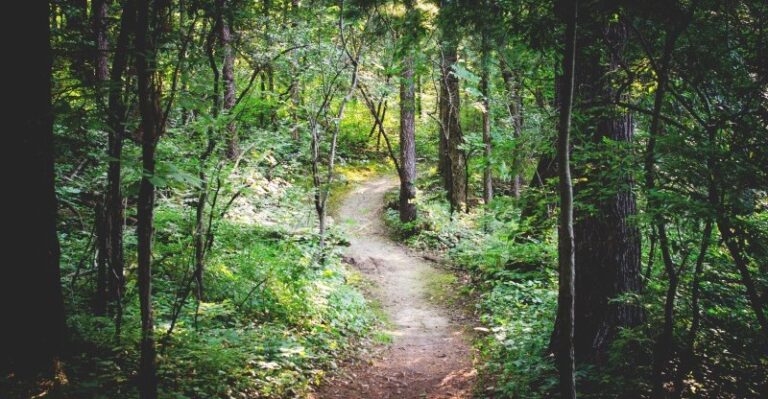 On the Joys of Following Literary Instinct Wherever It Leads