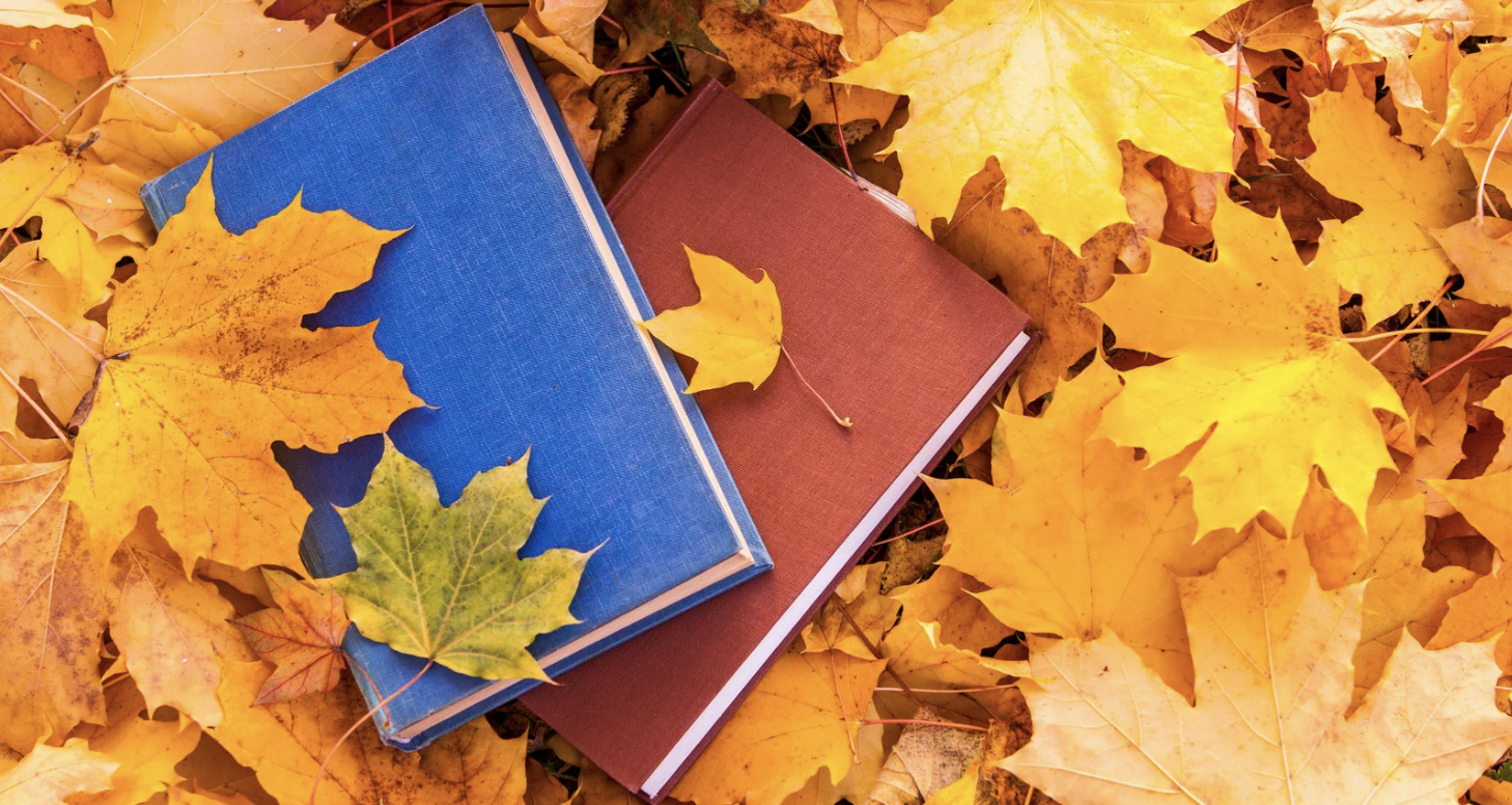 Despite the chaos of the presidential election, there will be more than enough books this fall ‹ Literary Hub