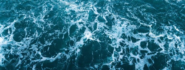 Taking the Long View: Why There Might Still Be Hope For the Earth’s Oceans