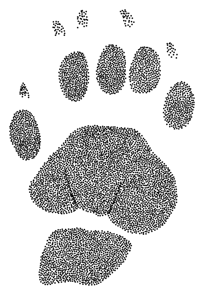 Literary Hub » Fashionably Monochrome Mammals: On the Pleasures of ...