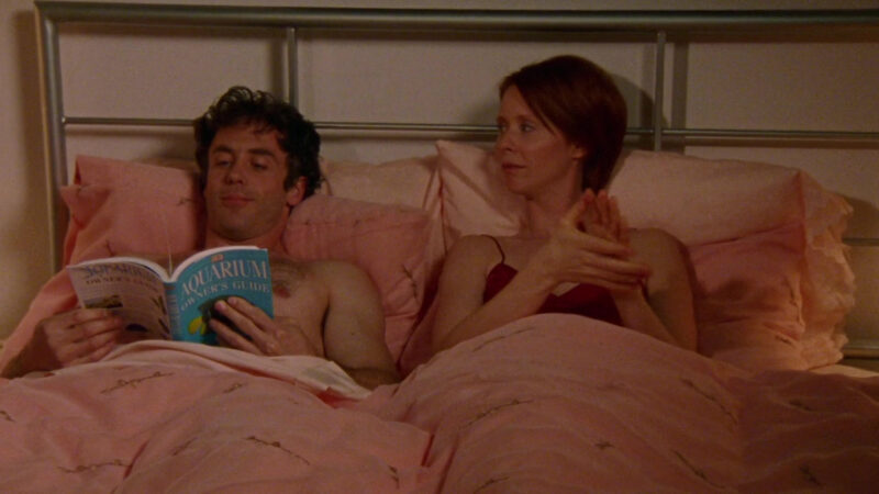WTF is Steve reading on <em> Sex and the City</em>?