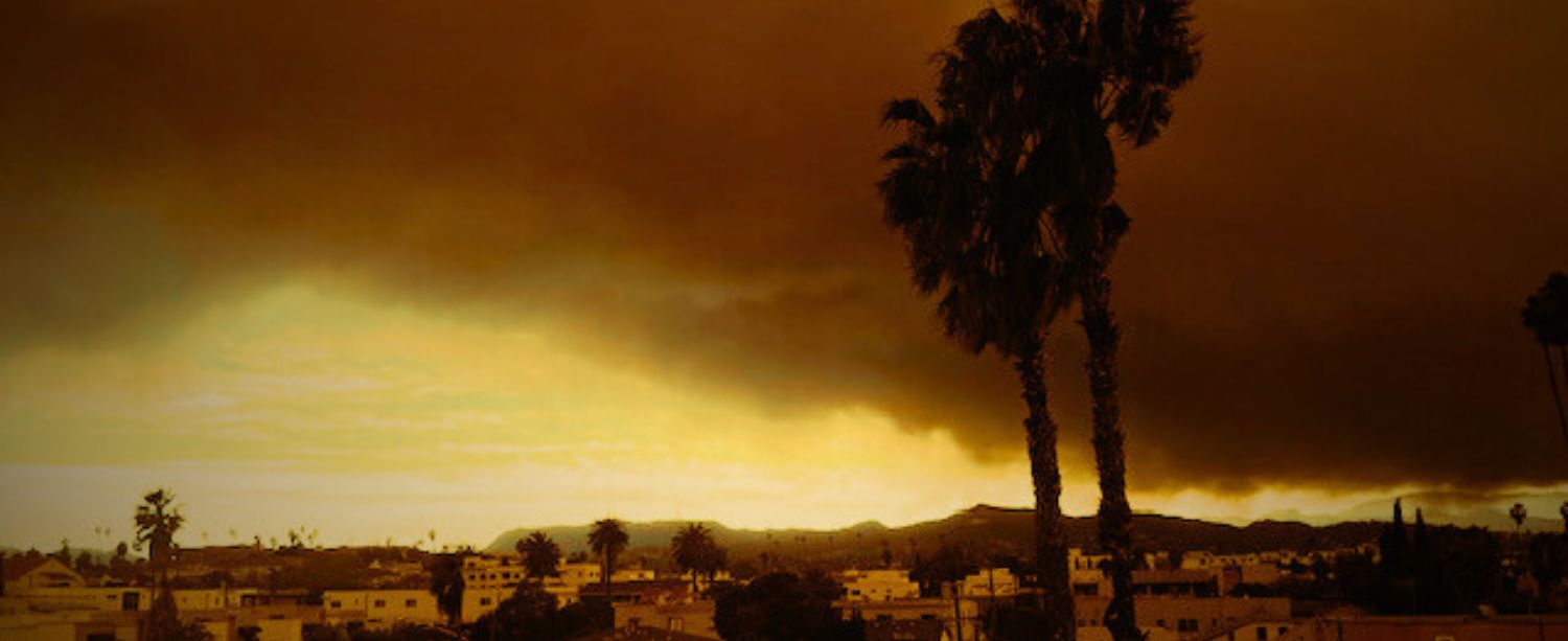 The Seven Books I Took With Me When Evacuating Los Angeles ‹ Literary Hub