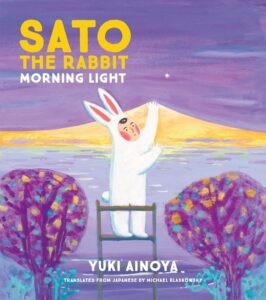 sato the rabbit morning light