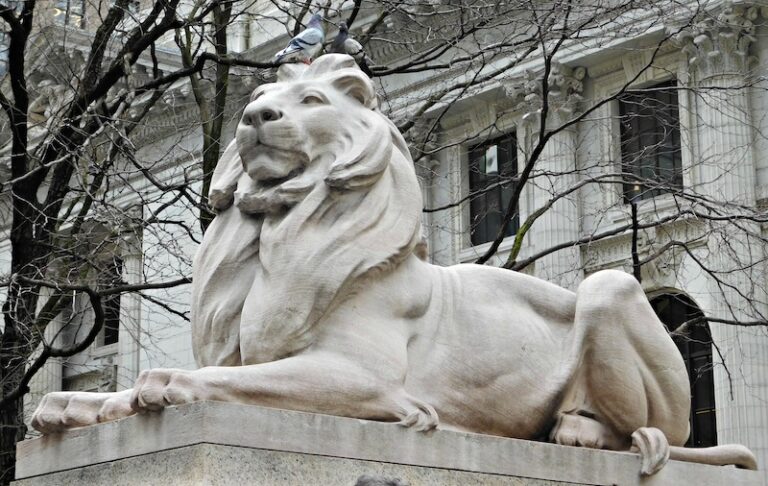 New York Public Library Lion