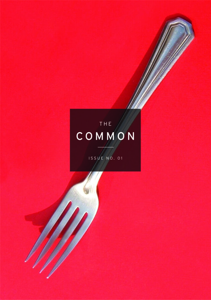 Literary Hub » First Impressions: 15 Years of The Common Through Its Covers