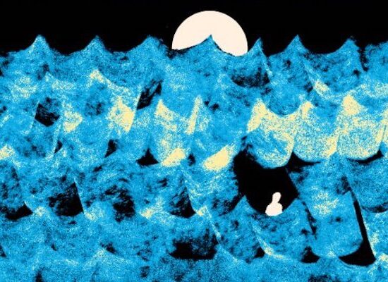 5 Book Reviews You Need to Read This Week