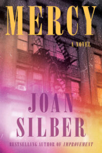 Joan Silber, Mercy