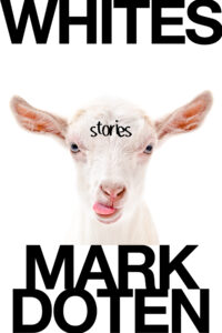 Mark Doten, Whites: Stories
