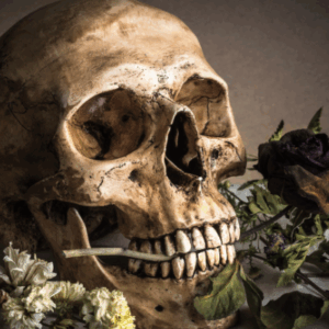 On the Lit Hub Podcast: To Be or Not To Be? To Rec or Not to Rec?