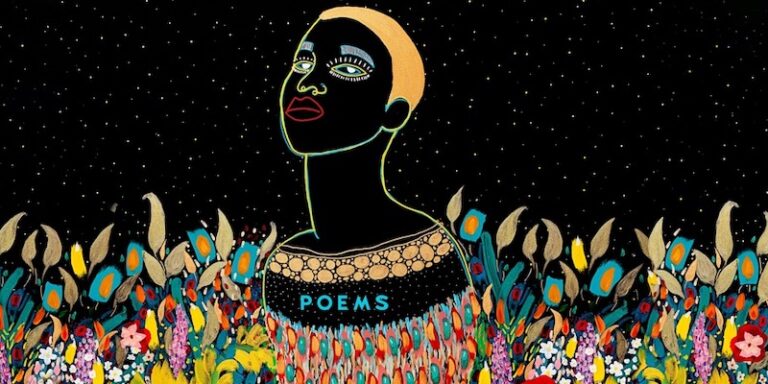 Joy in the Belly of a Riot cover