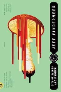 city of saints and madmen vandermeer