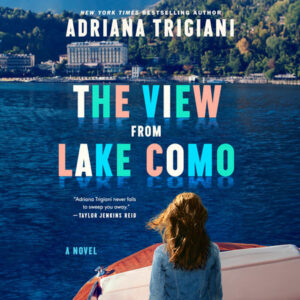 the view from lake como