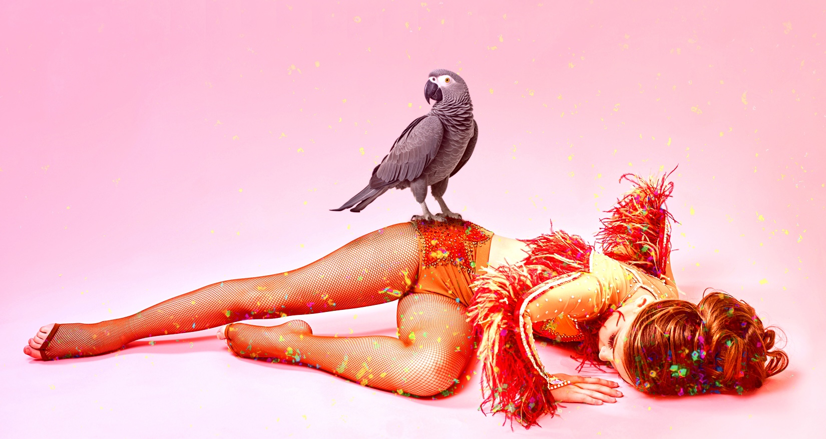 On the Literature of Ambitious Women