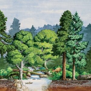 The 10 Best Books on Permaculture