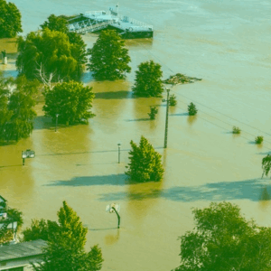 “It’s Okay But It’s Also Really Not.” When Dystopian Fiction is No Longer a Thought Experiment