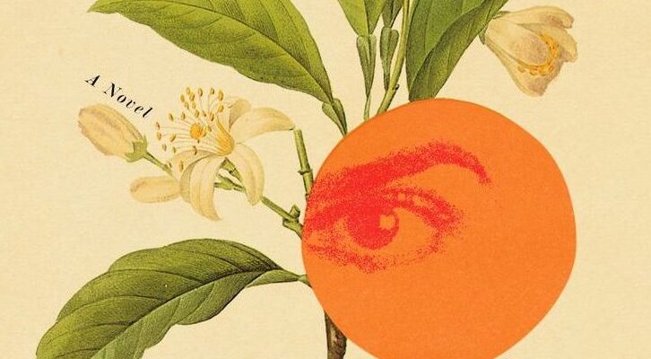 What Should You Read Next? Here Are the Best Reviewed Books of the Week