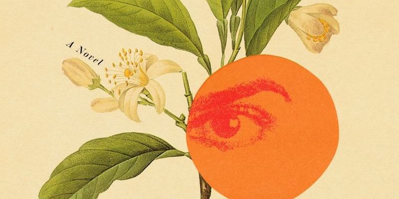 What Should You Read Next? Here Are the Best Reviewed Books of the Week