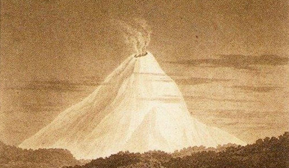 The Invitation of Brevity: Ten Novels in Verse That Will Hook You