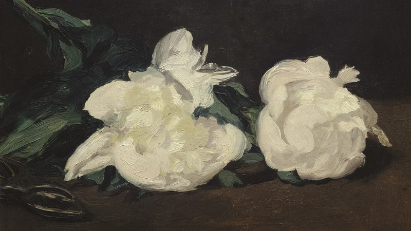 “Blue Morpho,” a Poem by Paula Bohince