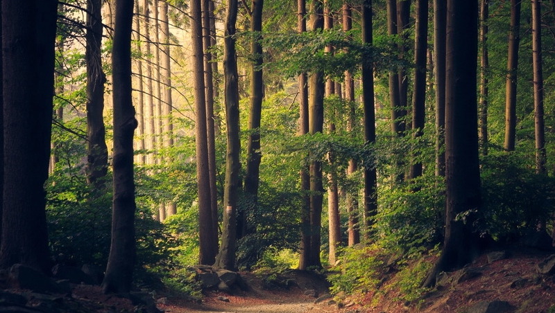 Two Poems by MaKshya Tolbert