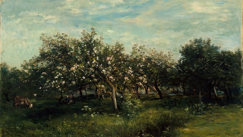 Outdoor Manual: Benjamin Wood on Taking It Outside