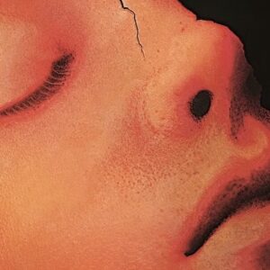 Olivia Laing, Sarah Weinman, Alison Roman, and more: 23 new books out today!