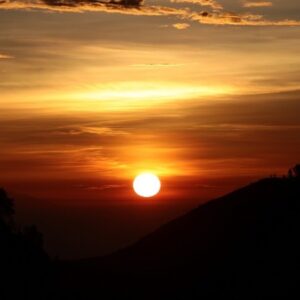 What Aging Can Teach Us About Creativity and Fulfillment