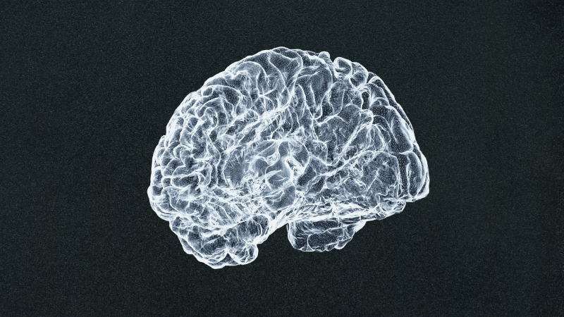 How the Human Brain Actually Gets Us From Point A to Point B