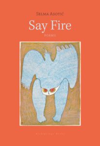 say-fire-cover-
