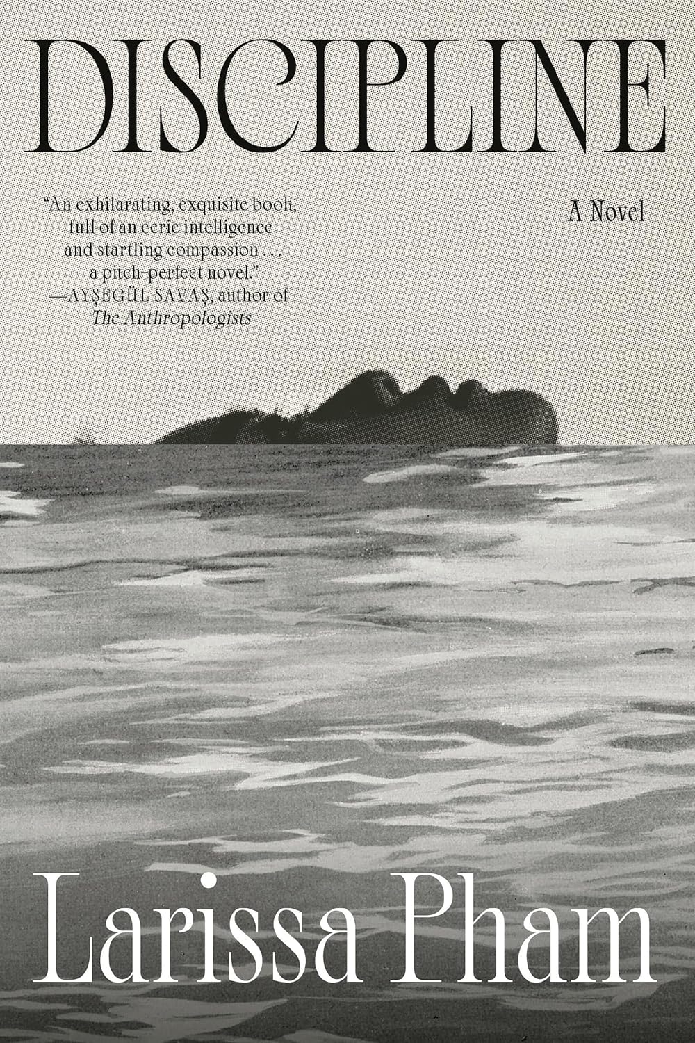 Larissa Pham, Discipline