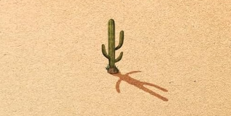 5 Book Reviews You Need to Read This Week