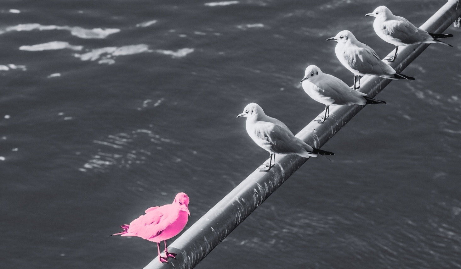 My Friends Won’t Let Me Into Their Writers’ Group: Am I the Literary Asshole?