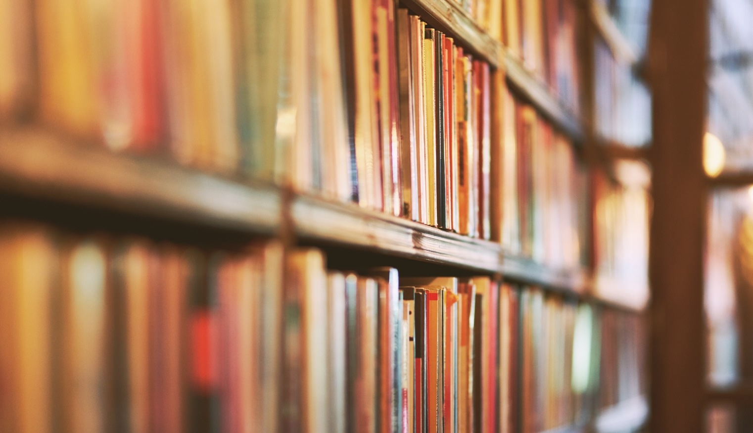 What It Was Like to Publish a Book in This Crazy Year, 2025