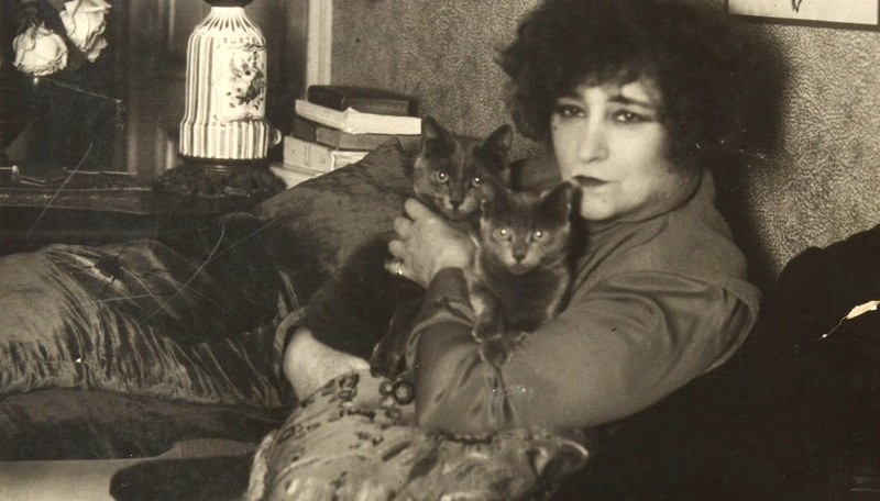 How Colette Was Inspired By Her Many Cats
