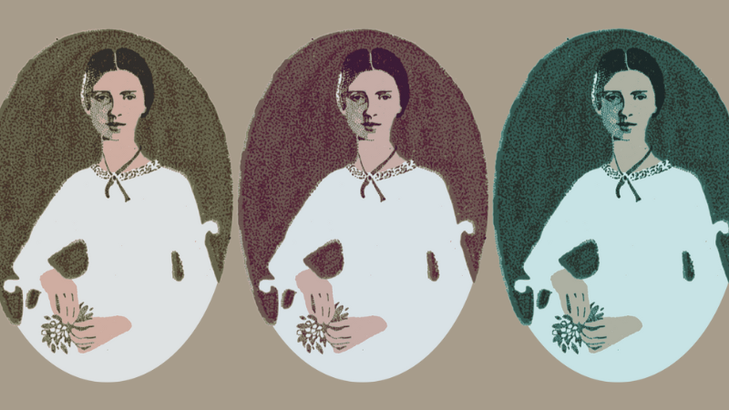 “Open Me Carefully.” Emily Dickinson’s Intimate Letters to Susan Huntington Dickinson