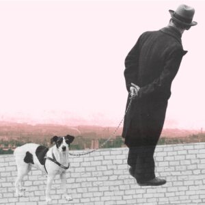 “Le Chien,” a Poem by Billy Collins