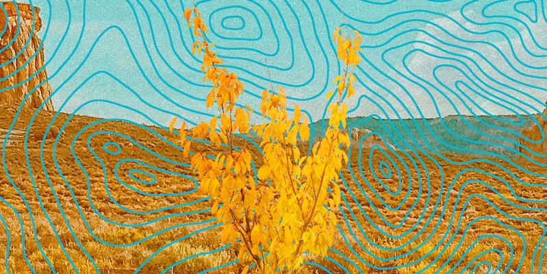 Karl Ove Knausgaard, Niall Williams, Daniyal Mueenuddin, and more: 21 new books out today!