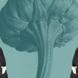 Lit Hub Daily: January 21, 2026