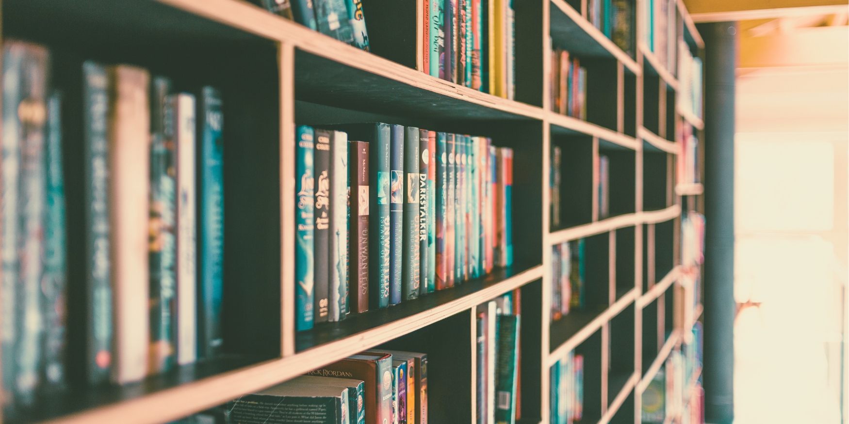 The Independent Press Top 40 Bestsellers: Fiction