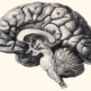 How Do Good Ideas Happen?