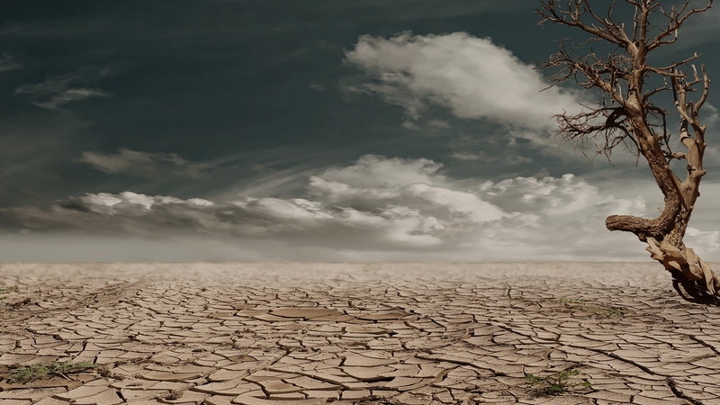 The Repugnance of Human Extinction: Why Our Survival Matters