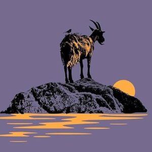 5 Book Reviews You Need to Read This Week